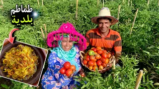 جمع محصول الطماطم و تحضير طاجين بلحم الخروف