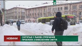 Снігопад у Львові спричинив проблеми з вивезенням сміття