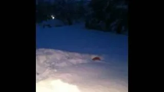 Ben's Valdez Snow Jump