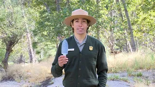 How to Poop in the Woods in Yosemite