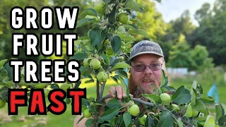 How to Quickly Grow Fruit Trees in the Backyard Orchard