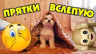 ПРЯТКИ В НАШЕМ ДОМЕ С ЗАКРЫТЫМИ ГЛАЗАМИ | HIDE AND SEEK