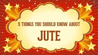 5 Things You Should Know About Jute