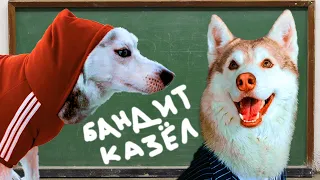 БУЛЛИНГ В СОБАЧЬЕЙ ШКОЛЕ!! Когда тебя обижают одноклассники!  (Хаски Бублик) Говорящая собака