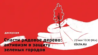 «Спасти рядовое дерево!» Активизм в защиту зеленых городов