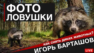 ФОТОЛОВУШКИ из зеркалки. Как снять животных дистанционной камерой. Игорь Барташов