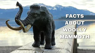 facts about woolly mammoths