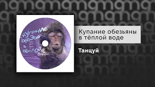 Купание обезьяны в тёплой воде - Танцуй (Официальный релиз) @Gammamusiccom