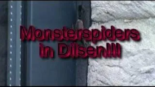 Riesen Spinnen Monster Quest /Monster spiders in Dilsen.mp4