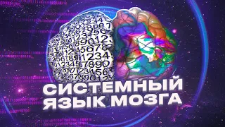 Выучить иностранный язык за 10 минут. Системный язык мозга