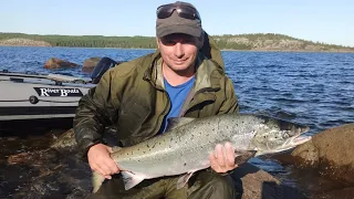 УМБА. ГОРБУША КЛЮËТ КАК СУМАСШЕДШАЯ. "UMBA. PINK SALMON PECKS LIKE CRAZY".