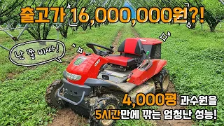 출고 가격 1600만원 이나 하는 승용 예초기로  4000천 평의 과수원 제초 작업을 해보았습니다 (a 16 million won grass-cutting machine )