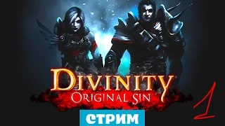 Кооп DIVINITY ORIGINAL SIN прохождение русский язык #1  СТРИМ [Жемчужный король]