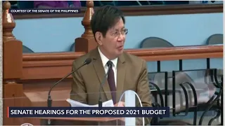 Senate plenary debates on the 2021 national budget bill