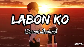 Labon Ko (Slowed+Reverb) - Bhool Bhulaiyaa | K.K. | #lofi #viral #kk #labonko
