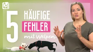 Unbedingt vermeiden! Die 5 häufigsten Fehler im Umgang mit Welpen