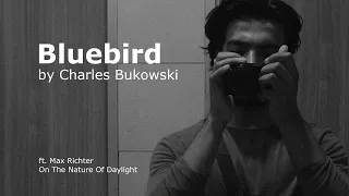 Bluebird by Charles Bukowski ft. Max Richter - On The Nature Of Daylight