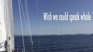 SailingArgo Ep 32 - Wish we could speak whale
