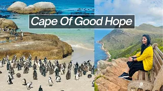 Where To See Penguins In South Africa | Cape Of Good Hope Beach Point | Road Trip | Hindi Vlog