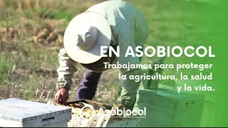 PERSPECTIVAS DE LOS CULTIVOS DE LA REGIÓN FRENTE A LA BIOECONOMÍA 02