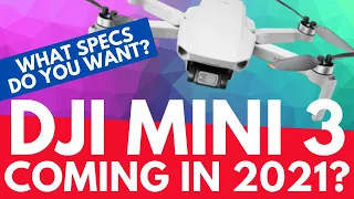 DJI Mini 3 – Coming in 2021? – What specs do you want to see? - Geeksvana