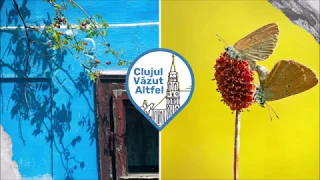 Ce să vizităm în județul Cluj: 10 locuri mai puțin explorate | Clujul Văzut Altfel, Ep. 004