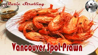 🇨🇦 Yummy Vancouver Spot Prawn, Toronto  温哥华空运来的斑点虾大餐，来围观吧，贼爽！