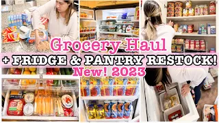 GROCERY HAUL | FRIDGE RESTOCK + PANTRY ORGANIZATION | KITCHEN CLEAN AND ORGANIZE WITH ME 2023