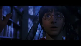 Harry Potter and the Sorcerer's Stone (2001) - Restricted Section Scene