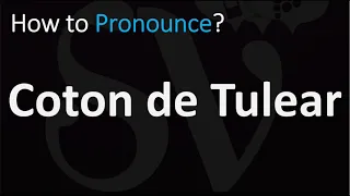 How to Pronounce Coton de Tulear? (CORRECTLY)