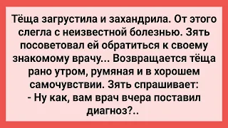 Зять Отправил Тещу Лечиться к Знакомому Врачу! Сборник Свежих Смешных Жизненных Анекдотов!