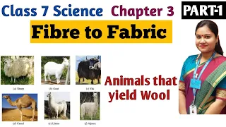 Fibre to Fabric | NCERT Science Class 7 Chapter 3 Fibre to Fabric | Part 1 #fibretofabric