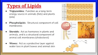 Lipids 1: Introduction to lipids, Triglycerides and Omega Fatty Acids