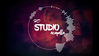 Bom Diggy Diggy Clean HD Studio Acapella | Zack Knight| Sonu ke Titu ki Sweety | Voice Only