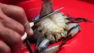 How To Clean A Soft Shell Crab
