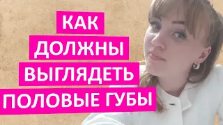 Как должны на самом деле выглядеть здоровые половые губы. Важное о гинекологии от гинеколога.