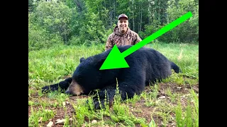 ON THE BLOOD TRAIL - SPRING BLACK BEAR HUNT - 2 KILLS - ALBERTA 2019