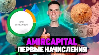 Фонд Amir Capital, первые начисления на депозит. Стратегия инвестирования в Amir Capital