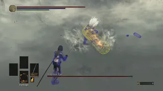 Nameless King hitboxes visualized