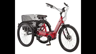 electric tricycle revolution: uneviling the top models of 2023