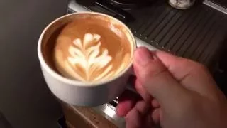 Making A Latte With The Breville Barista Express