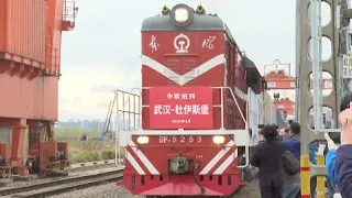 First China-Europe Freight Train from Wuhan Arrives in Germany Since COVID-19 Outbreak