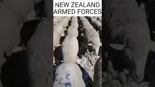 New Zealand Army be like...