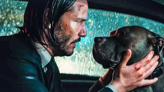 You're A Good Dog Scene - JOHN WICK 3 (2019) Movie Clip