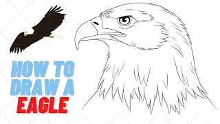 How to draw an Eagle | Как нарисовать Орла