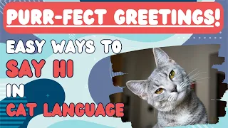 Purr-fect Greetings! Easy Ways to Say 'Hi' in Cat Language