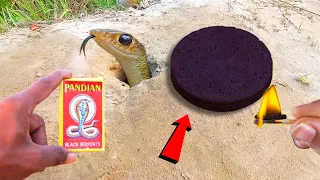 WORLD'S BIGGEST SNAKE BOMB🐍 at Once Fire Cracker Testing ~ Black Snake Diwali Cracker Testing 100%✔️