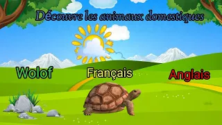 Les animaux domestiques en wolof, français et anglais