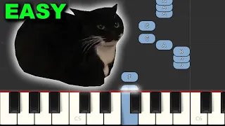 Maxwell The Spinning Cat Meme Song (EASY Piano Tutorial) [Synthesia]
