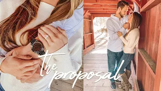 WE'RE ENGAGED! | Surprise Proposal